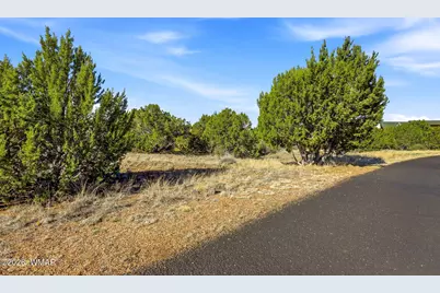 8379 Lake View Drive, Show Low, AZ 85901 - Photo 1