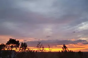 1581 W Snow Creek Trail, Show Low, AZ 85901 - Photo 83