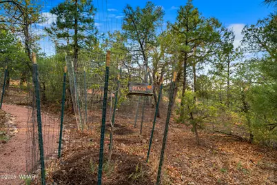 1581 W Snow Creek Trail, Show Low, AZ 85901 - Photo 71