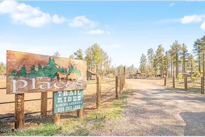 7345 Tall Pine Drive, Pinetop, AZ 85935 - Photo 41