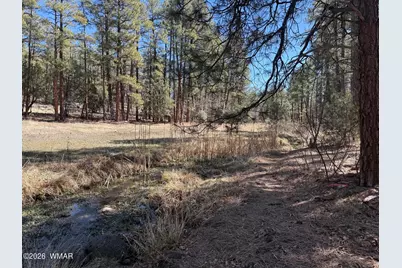1030 Big Springs Trail, Lakeside, AZ 85929 - Photo 7
