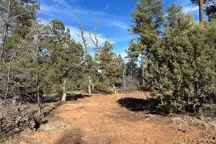 6992 Wagon Wheel Ln, Lakeside, AZ 85929 - Photo 1