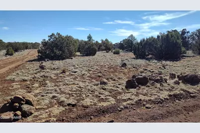 152 County Rd 8057, Concho, AZ 85924 - Photo 7