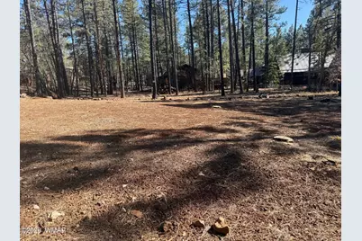 3430 Blacksmith Trail, Pinetop, AZ 85935 - Photo 3