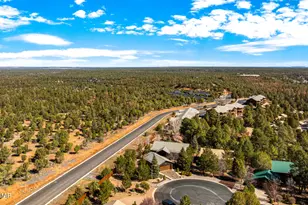 4770 W Covered Wagon Trail, Show Low, AZ 85901 - Photo 73
