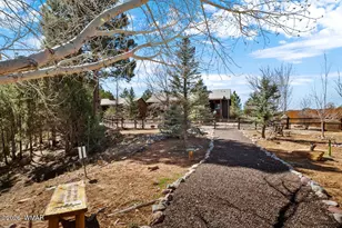 4770 W Covered Wagon Trail, Show Low, AZ 85901 - Photo 43