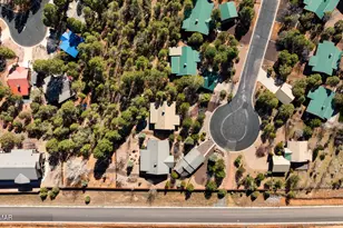 4770 W Covered Wagon Trail, Show Low, AZ 85901 - Photo 67