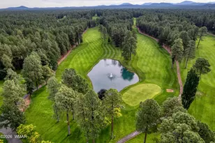 8224 White Oak Rd, Pinetop, AZ 85935 - Photo 45