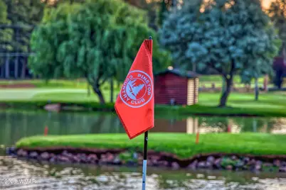 8224 White Oak Road, Pinetop, AZ 85935 - Photo 49