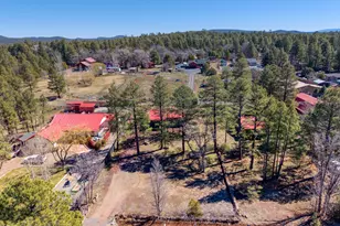 2547 Pima Way, Lakeside, AZ 85929 - Photo 19