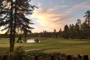 3344 Woodpecker Ln, Pinetop, AZ 85935 - Photo 47