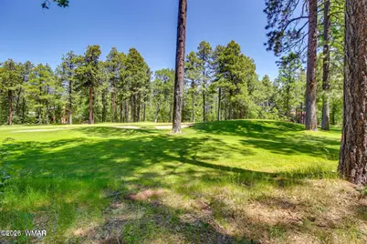 3344 Woodpecker Lane, Pinetop, AZ 85935 - Photo 37