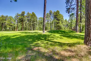3344 Woodpecker Ln, Pinetop, AZ 85935 - Photo 37