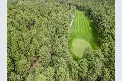 3344 Woodpecker Lane, Pinetop, AZ 85935 - Photo 51