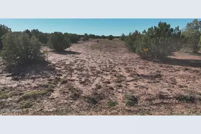 9445 Texas Lane, Show Low, AZ 85901 - Photo 1