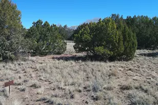 Tbd Concho Valley 1 Dr, Concho, AZ 85924 - Photo 1