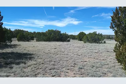 Tbd Concho Valley 1 Drive, Concho, AZ 85924 - Photo 5