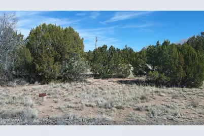 Tbd Concho Valley 1 Drive, Concho, AZ 85924 - Photo 3