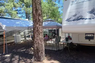 2333 Homestead Rd, Lakeside, AZ 85929 - Photo 1