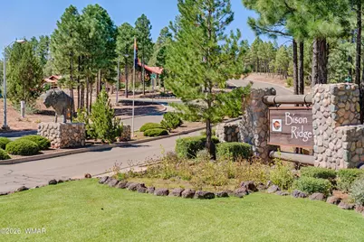 4520 W Tatanka Loop, Show Low, AZ 85901 - Photo 3