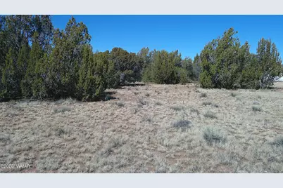 24 Wood Lane, Concho, AZ 85924 - Photo 3