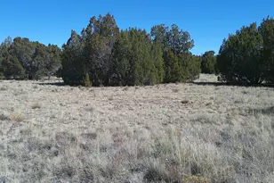 24 Wood Ln, Concho, AZ 85924 - Photo 1