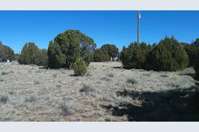 24 Wood Lane, Concho, AZ 85924 - Photo 5