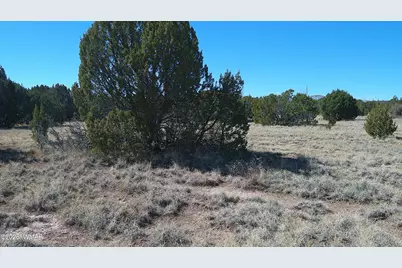 24 Wood Lane, Concho, AZ 85924 - Photo 7