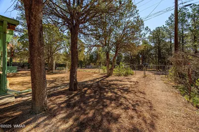2888 Dale Road, Overgaard, AZ 85933 - Photo 17