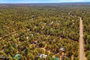 2888 Dale Rd, Overgaard, AZ 85933 - Photo 25