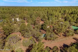 2888 Dale Rd, Overgaard, AZ 85933 - Photo 21