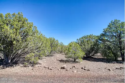 Tbd N3114, Vernon, AZ 85940 - Photo 9