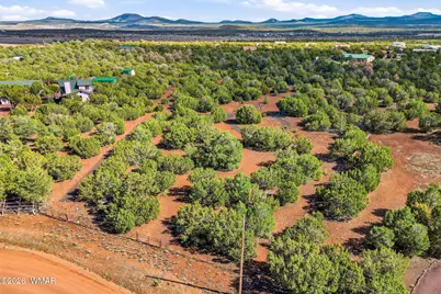 179 County Road 3158, Vernon, AZ 85940 - Photo 13