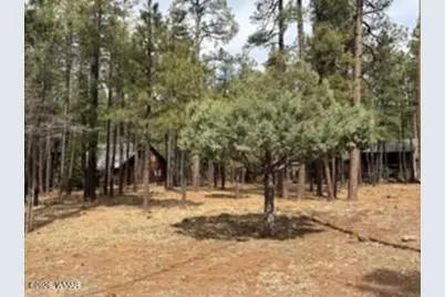 7776 Buck Springs Road, Pinetop, AZ 85935 - Photo 3