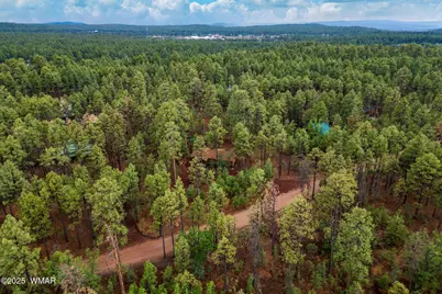 1111 W White Mountain Boulevard, Lakeside, AZ 85929 - Photo 21