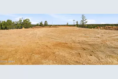 3363 Spring Court, Heber, AZ 85928 - Photo 5