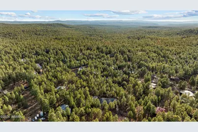 297 Fox Lane, Lakeside, AZ 85929 - Photo 81