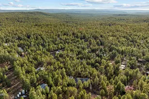 297 Fox Ln, Lakeside, AZ 85929 - Photo 81