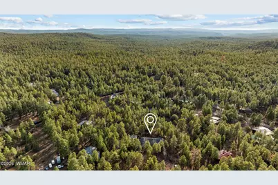 297 Fox Lane, Lakeside, AZ 85929 - Photo 79