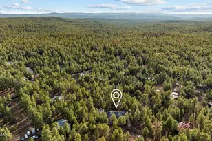 297 Fox Ln, Lakeside, AZ 85929 - Photo 79