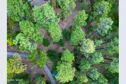 2200 W Whispering Springs Road, Show Low, AZ 85901 - Photo 93