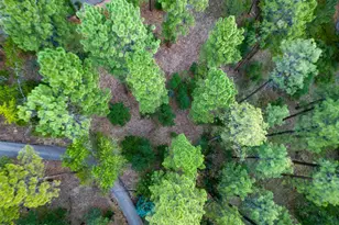 2200 W Whispering Springs Rd, Show Low, AZ 85901 - Photo 93