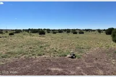 61 Cr 8620, Concho, AZ 85924 - Photo 27