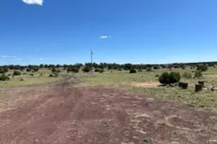 61 Cr 8620, Concho, AZ 85924 - Photo 29