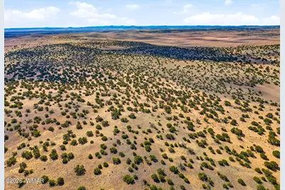 40 Ac Parcel #212-10-020, Concho, AZ 85924 - Photo 5