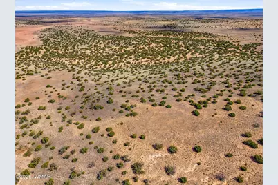 40 Ac Parcel #212-10-020, Concho, AZ 85924 - Photo 7