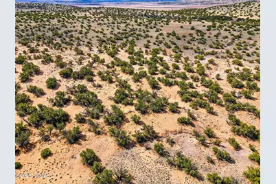 40 Ac Parcel #212-10-020, Concho, AZ 85924 - Photo 9