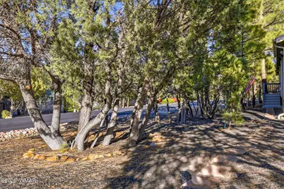 2041 W Hacienda Way, Show Low, AZ 85901 - Photo 29
