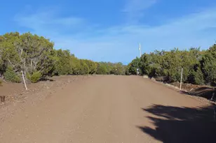 3 County Road 3030, Vernon, AZ 85940 - Photo 57