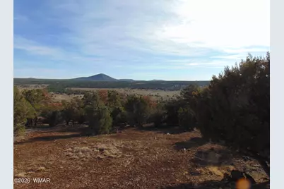 3 County Road 3030, Vernon, AZ 85940 - Photo 45